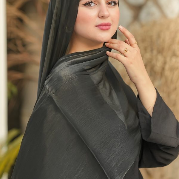 Black Organza Crinkle